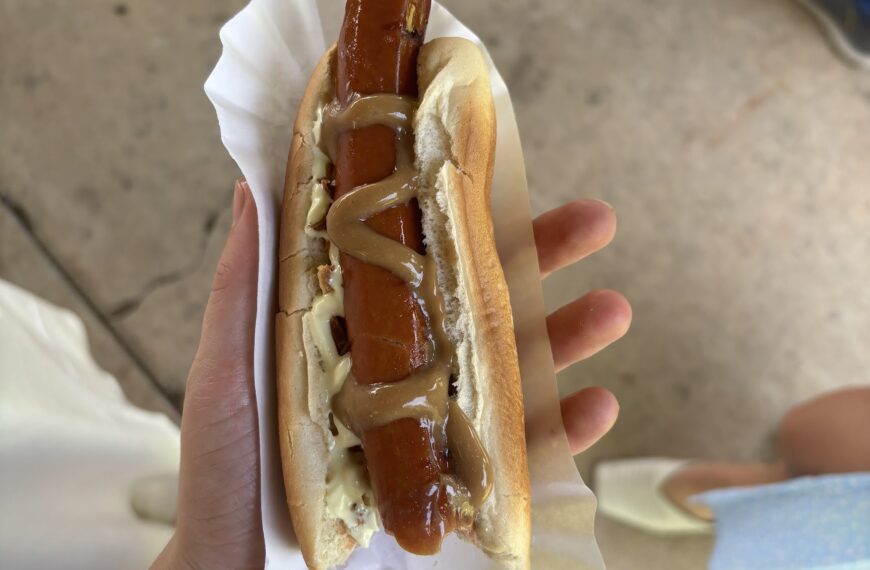 hand holding a hot dog